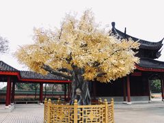 -广东圆玄道观