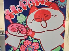 -喜多萌中农锦绣动物医院24H·猫科·牙科MRI·CT