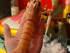 -牛New寿喜烧(金鹰世界店)