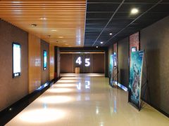 -SFC上影影城(成都科华IMAX店)