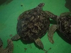 -常州海昌海洋探索馆