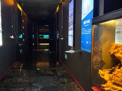 -索拉古贝(义乌北苑店)