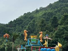 -长沙黑麋峰国家森林公园