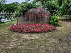 -鹅湖玫瑰文化园