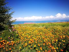 -青海湖国家重点风景名胜区