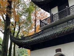 -秋霞圃