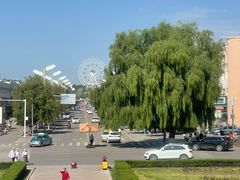 -特克斯八卦城