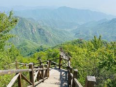 -大岭沟猕猴桃谷风景区