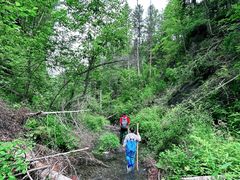 -峡谷浮石林景区