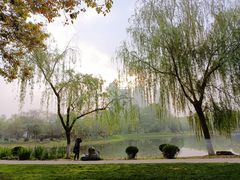 -堤角公园