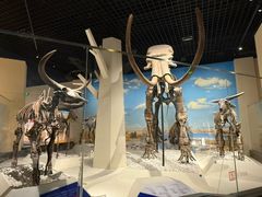 -国家自然博物馆