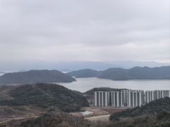 -黄贤森林公园