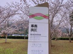 -幕燕滨江·长江观音景区