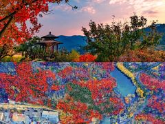 -九如山休闲旅游度假区