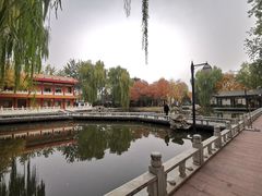 -新川办餐厅