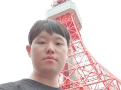 -秋叶原电器街