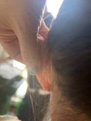 -CHEN·S INK TATTOO纹身工作室