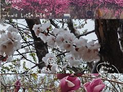 -万达广场(龙湖店)