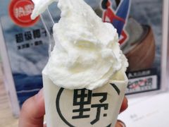 -野人先生现做冰淇淋(北京环宇荟店)
