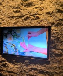 -VELEE·SPA高定疗愈会所