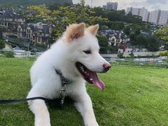 -白石龙音乐公园