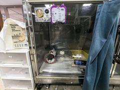 -美联众合动物医院·24h转诊中心