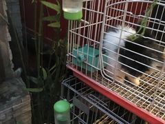 -锦尚阁烤鱼•天津菜(宣武门胡同店)