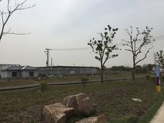 -菊园百果园