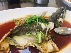 -八仔大富楼·河鲜(西江店)