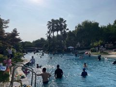 -上海东方佘山翰悦阁酒店·Vie全日制餐厅