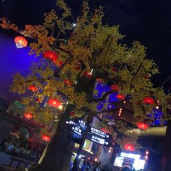 -南京万达乐园