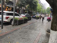 -泡桐树街