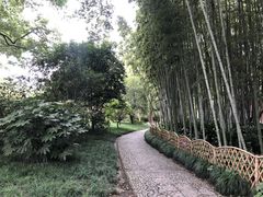 -上海醉白池公园