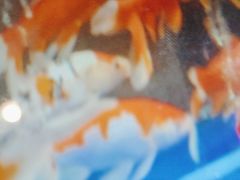 -海天牧场(银川商城店)