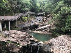 -广州白江湖森林公园