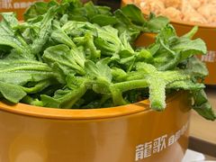 -龍歌自助小火锅(城阳万象汇店)