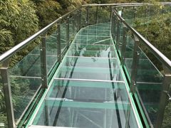 -陶祖圣境风景区