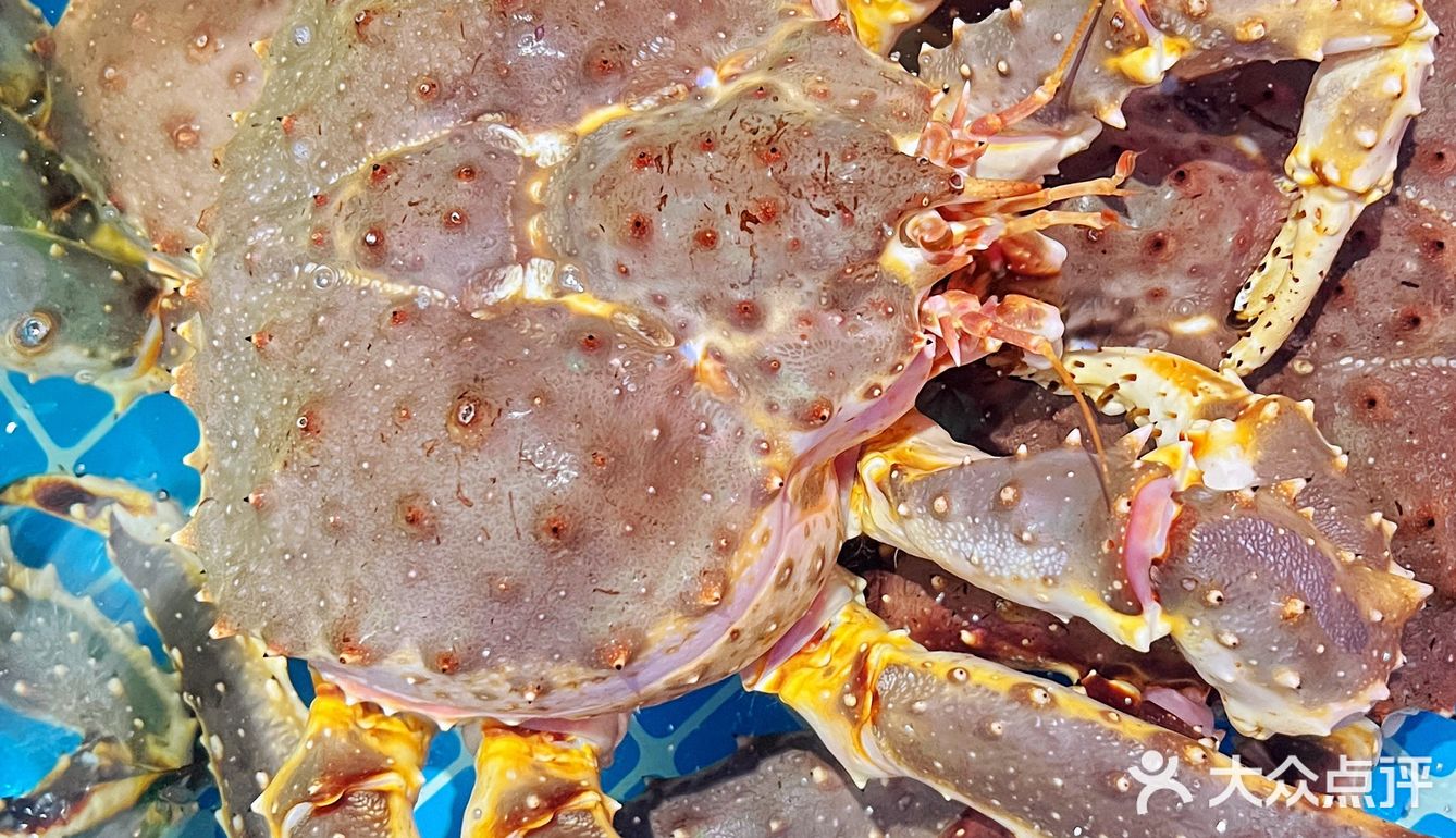 吃螃蟹吃海鲜的首选‼️青山C位餐厅丽华园不允许你还没来过‼️