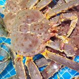 吃螃蟹吃海鲜的首选‼️青山C位餐厅丽华园不允许你还没来过‼️