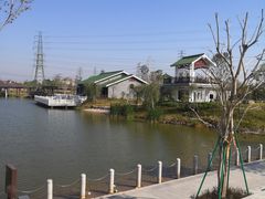 -王借岗森林公园