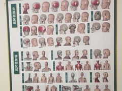 -通透堂中医·精准推拿(旗舰店)