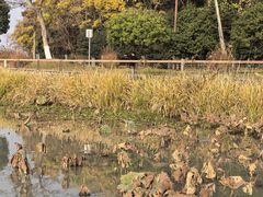 -东钱湖旅游度假区