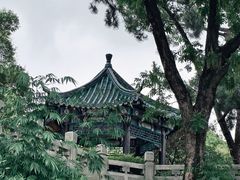 -月湖风景区