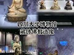 -四川大学博物馆