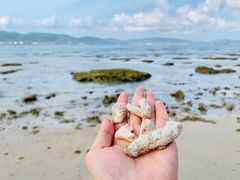 -柏悦酒店-沁园牛排海鲜西餐厅