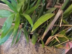 -起源小厨(应天门店)