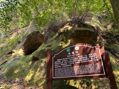 -缙云山景区