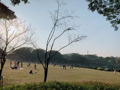 -东莞植物园