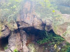 -树山生态村