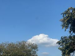 -奔跑吧陕菜·盛世长安(民乐园万达店)